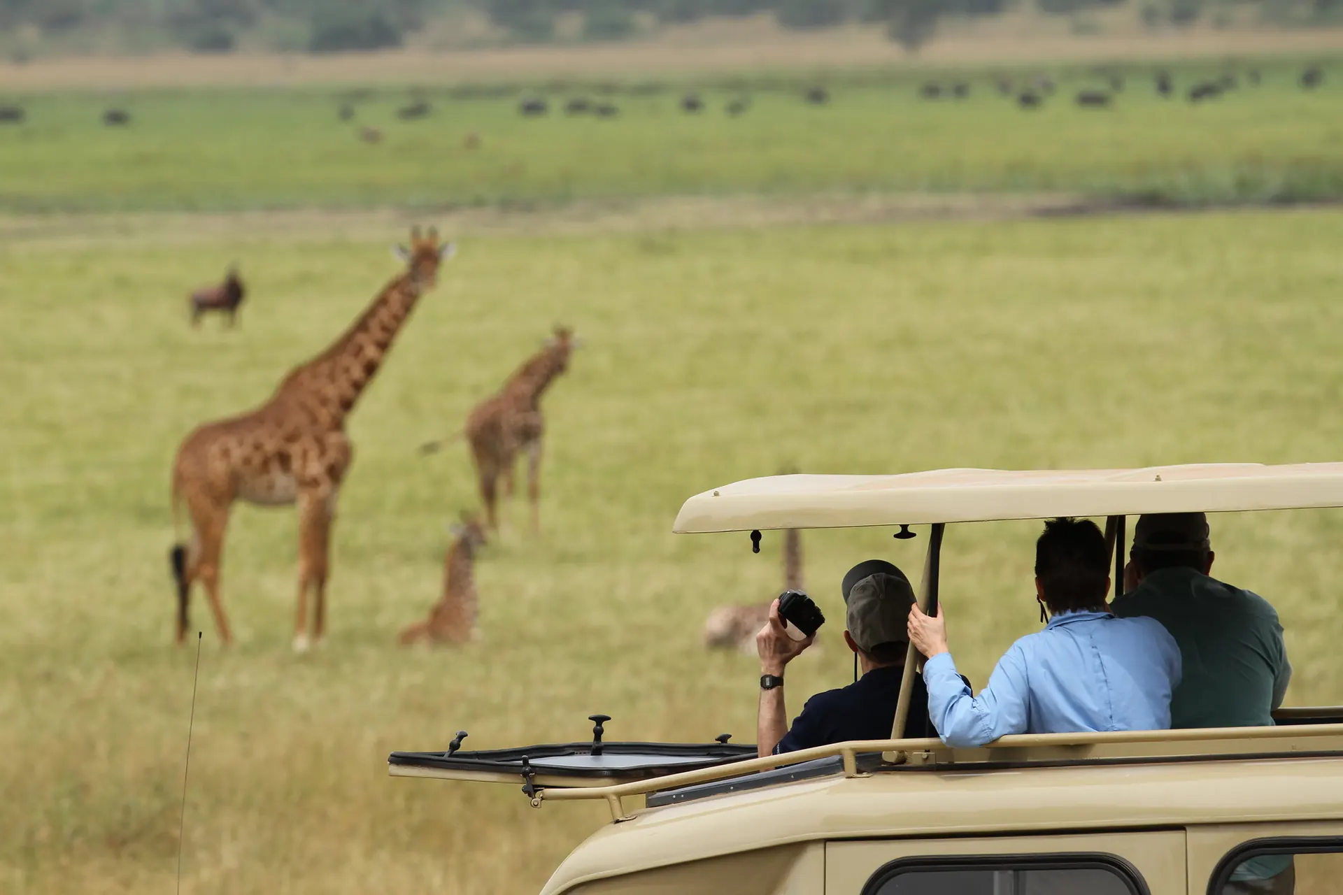 Rwanda Big Five and gorilla trekking safari