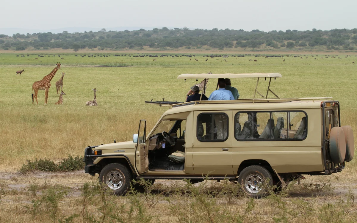 Akagera National Park: Rwanda’s Big Five Safari Destination & A Conservation Success Story